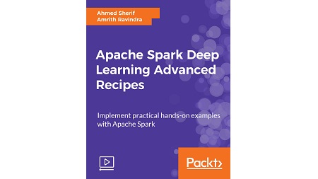 Apache Spark Deep Learning Advanced Recipes