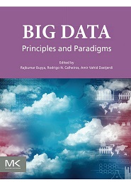 Big Data: Principles and Paradigms