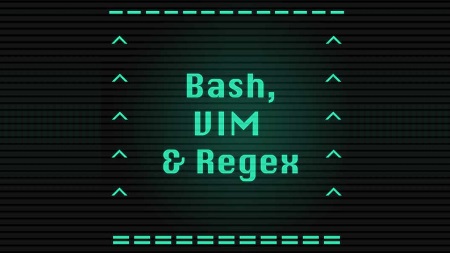 Introduction to Bash, VIM & Regex