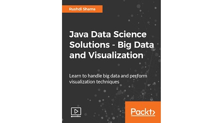 Java Data Science Solutions – Big Data and Visualization