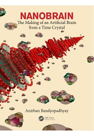 Nanobrain: The Making of an Artificial Brain from a Time Crystal