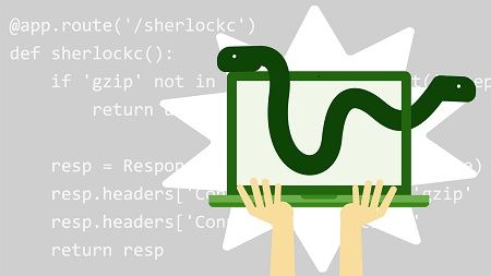 Optimizing Python Services