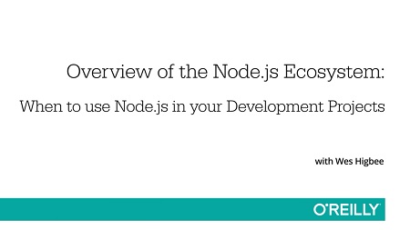 Overview of the Node.js Ecosystem