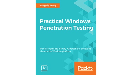 Practical Windows Penetration Testing