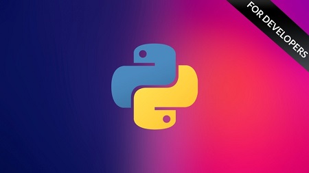 Python Programming for Developers