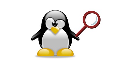 Searching in Linux: Regular Expressions for Beginners
