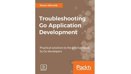 Troubleshooting Go Application Development