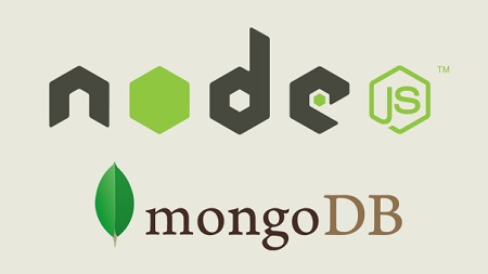 Using MongoDB with Node.js